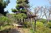 sankeien_0712_mini.jpg