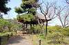 sankeien_0713_mini.jpg