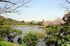 sankeien_0729_mini.jpg