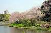 sankeien_0732_mini.jpg