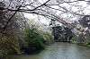 sankeien_0763_mini.jpg