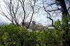 sankeien_0767_mini.jpg