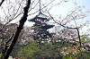 sankeien_0768_mini.jpg
