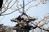 sankeien_0769_mini.jpg