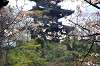 sankeien_0771_mini.jpg