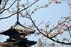 sankeien_0772_mini.jpg