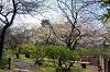 sankeien_0773_mini.jpg