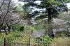 sankeien_0776_mini.jpg