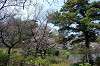 sankeien_0777_mini.jpg