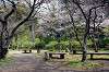 sankeien_0782_mini.jpg