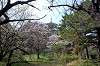 sankeien_0784_mini.jpg