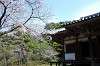 sankeien_0793_mini.jpg