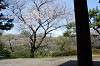 sankeien_0797_mini.jpg