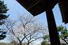 sankeien_0798_mini.jpg