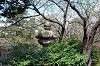 sankeien_0804_mini.jpg