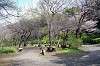 sankeien_0807_mini.jpg