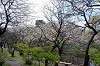 sankeien_0820_mini.jpg