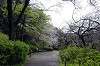 sankeien_0821_mini.jpg