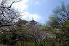 sankeien_0822_mini.jpg