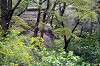 sankeien_0839_mini.jpg