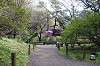 sankeien_0844_mini.jpg