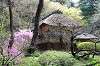 sankeien_0850_mini.jpg