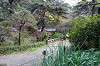 sankeien_0856_mini.jpg