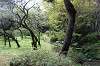 sankeien_0868_mini.jpg