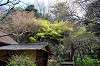 sankeien_0873_mini.jpg