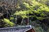 sankeien_0875_mini.jpg