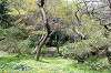 sankeien_0877_mini.jpg