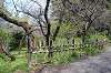 sankeien_0879_mini.jpg