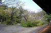 sankeien_0892_mini.jpg