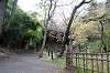 sankeien_0893_mini.jpg