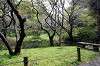 sankeien_0904_mini.jpg