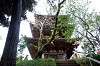 sankeien_0923_mini.jpg