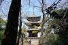 sankeien_0929_mini.jpg