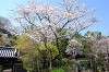 sankeien_0950_mini.jpg