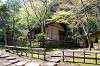 sankeien_0966_mini.jpg