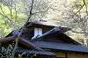 sankeien_0974_mini.jpg