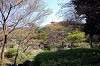 sankeien_0978_mini.jpg