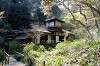 sankeien_0980_mini.jpg