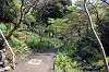 sankeien_0995_mini.jpg