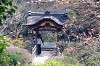sankeien_1006_mini.jpg