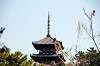 sankeien_1009_mini.jpg