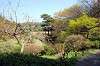 sankeien_1013_mini.jpg