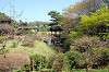 sankeien_1016_mini.jpg