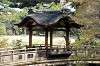 sankeien_1019_mini.jpg