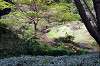 sankeien_1024_mini.jpg