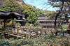 sankeien_1031_mini.jpg